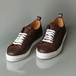 Conflict For Interest 3320 Brown Flash Sale